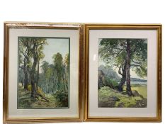 John Arthur Dees (Northern British 1875-1959): Tree Scenes