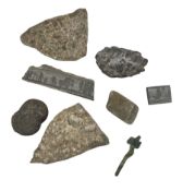 Various fossils and a Roman metal artefact