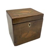 Early 19th century mahogany single canister tea caddy inlaid with conch shells to the hinged top and