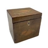 Early 19th century mahogany single canister tea caddy inlaid with conch shells to the hinged top and