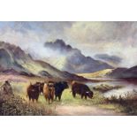 F G Radford (British early 20th century): Highland Cattle Watering