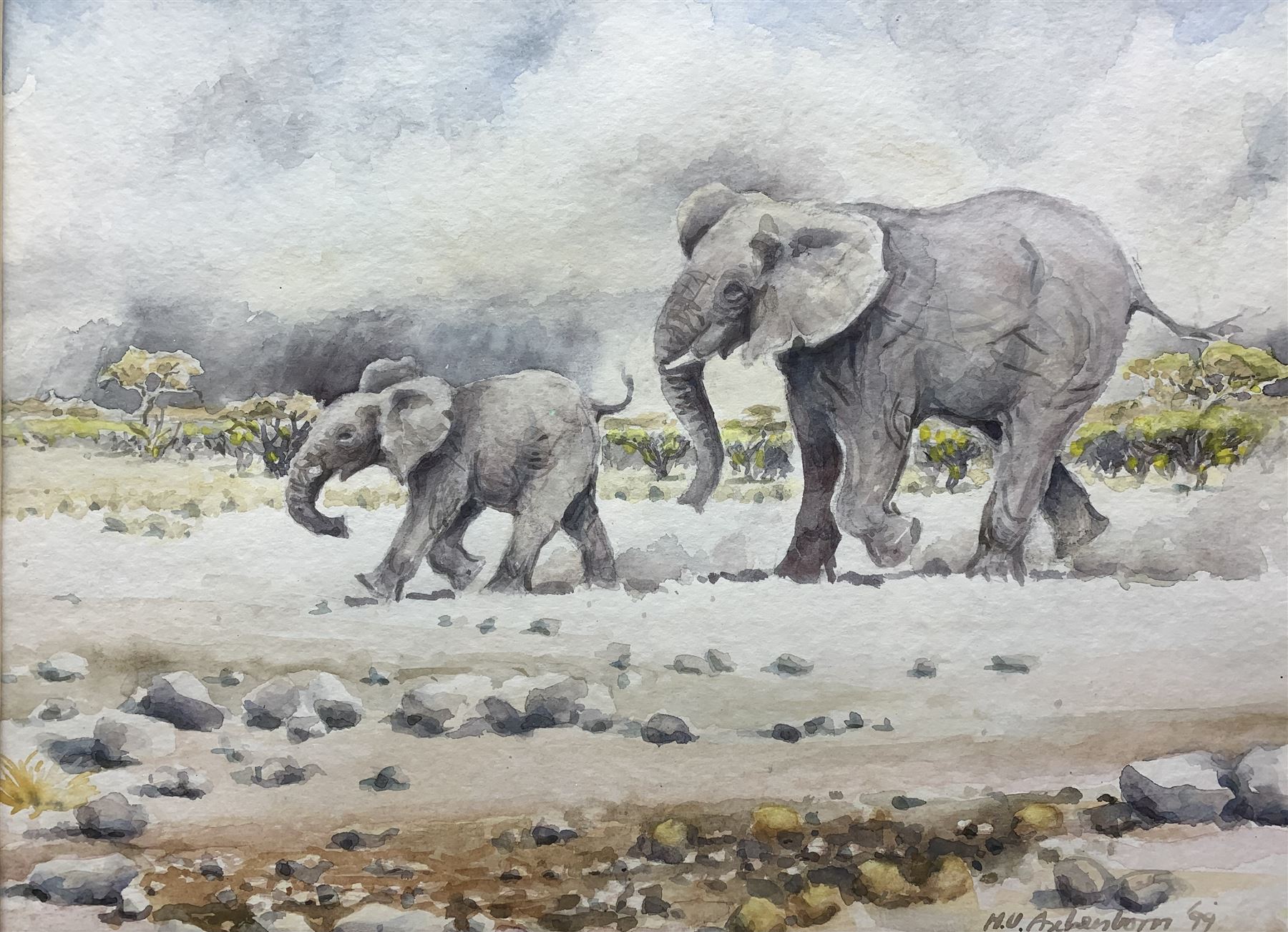 Hans Ulrich (Uli) Aschenborn (South African 1947): Elephants