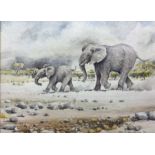 Hans Ulrich (Uli) Aschenborn (South African 1947): Elephants