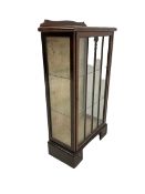 20th century mahogany display cabinet