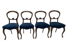 Set four Victorian mahogany balloon back dining chairs with blue seat pads