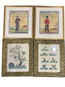 Pair Victorian hand coloured engravings of birds in ornate gilt frames together with pair Victorian