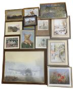 Large collection prints of local and animal interest (14)
