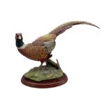 Border Fine Arts 'Game Birds' series Pheasant W38cm