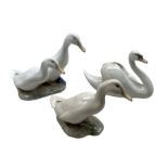 Three Royal Copenhagen porcelain birds comprising a Swan no. 755