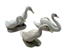 Three Royal Copenhagen porcelain birds comprising a Swan no. 755