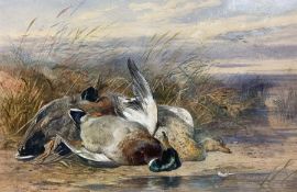 James Hardy (British 1832-1889): Ducks