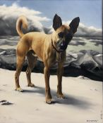 Houdi (Continental 20th century): 'Skiddawg!' Belgian Malinois Shepherd Dog in Alpine Landscape