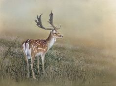 Robert E Fuller (British 1972-): Fallow Deer Buck in Meadow