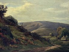 H Partington (British 19th/20th century): Dale Landscape with Cottage