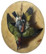 Michaelangelo Meucci (Italian 1840-1909): Still Life of Hanging Woodpecker and Bullfinch