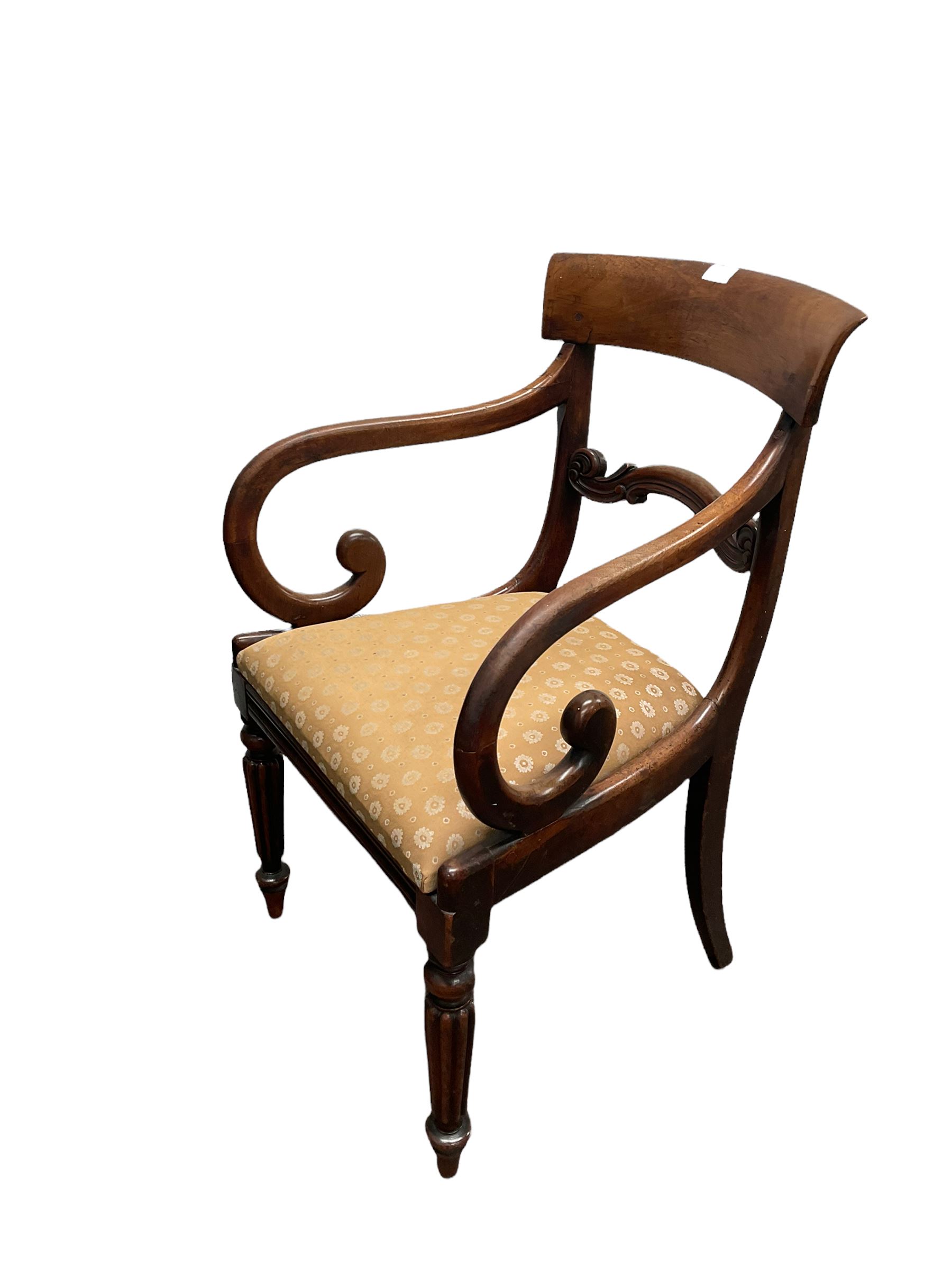 William IV mahogany elbow chair