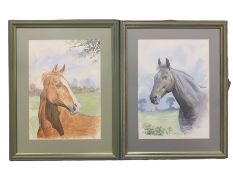 Charles (British contemporary): Chestnut and Thoroughbred Horse Portrait