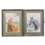 Charles (British contemporary): Chestnut and Thoroughbred Horse Portrait