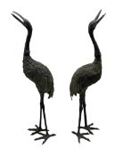 Pair of 19th/ early 20th century Japanese bronzed Cranes