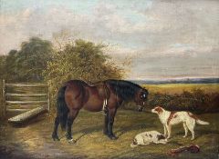 Albert Clark (British 1843-1928): Horse and Dogs in a Paddock