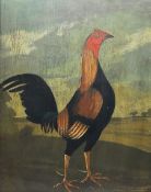 English Naive School (19th century): Portrait of a Prize Cockerel