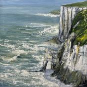 Sue Nichol (British contemporary): 'Bempton Cliffs'
