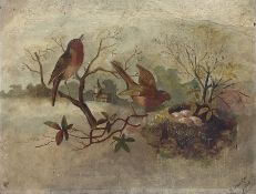 H Swann (British 1818-?): Robins with Nest