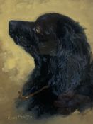 Henry Percy (British 19th/20th Century): Portrait of a Spaniel
