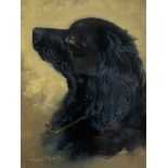 Henry Percy (British 19th/20th Century): Portrait of a Spaniel