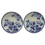 Pair of Japanese blue and white chargers decorated with chrysanthemum flowers and edged with geometr