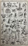 Reynolds (British 18th century): 'Hieroglyphic And Emblematical Characters'