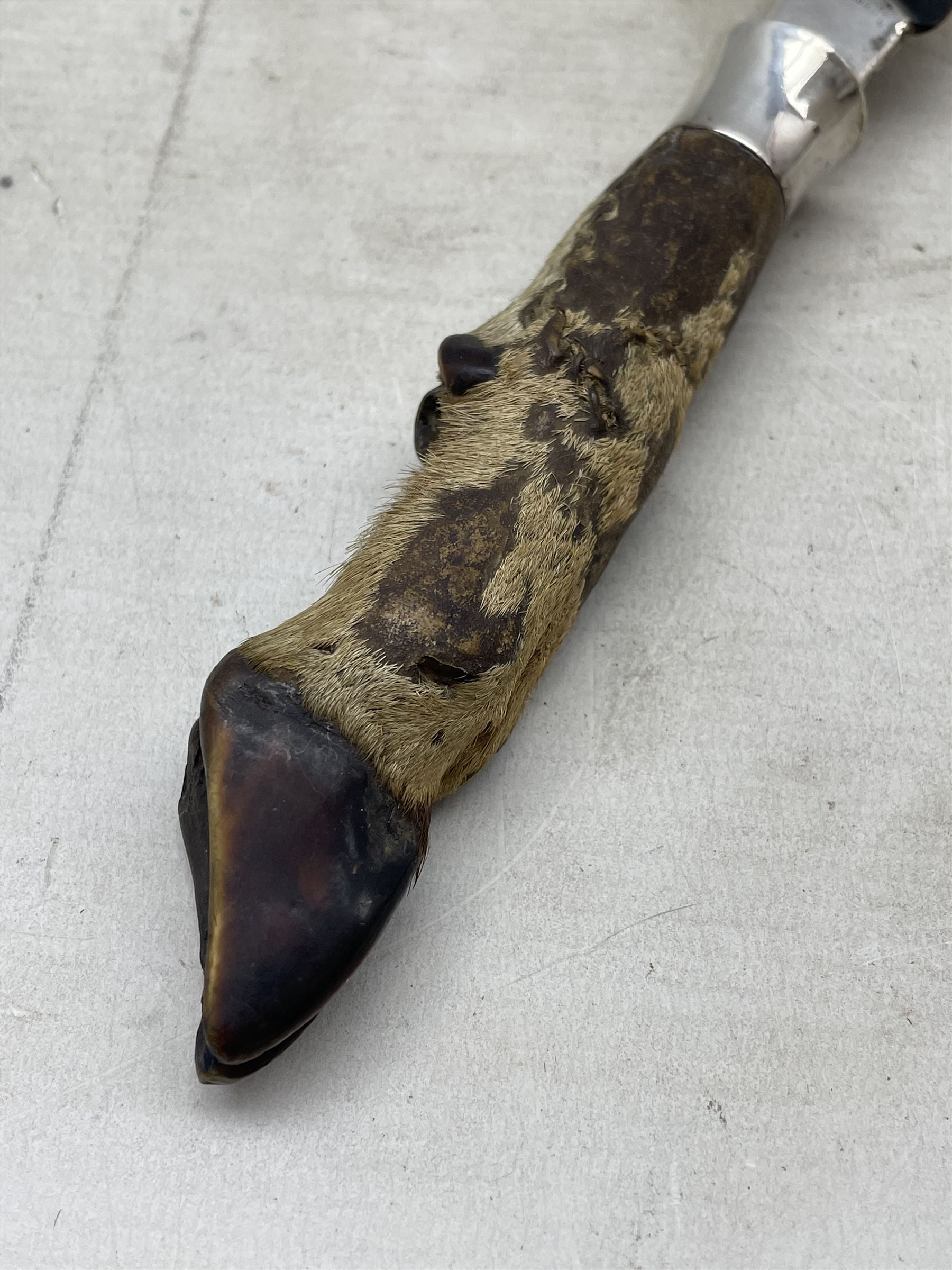 Victorian deer foot paper knife by Rowland Ward Piccadilly with silver mounts dated 1885 and horn bl - Image 2 of 5