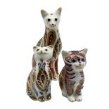 Three Royal Crown Derby paperweights comprising a Siamese cat and kitten dated 1996 and another Cat