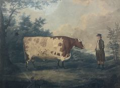 John Whessell (British c.1760-1840) after John Boultbee (British 1753-1812): 'The Durham Ox'