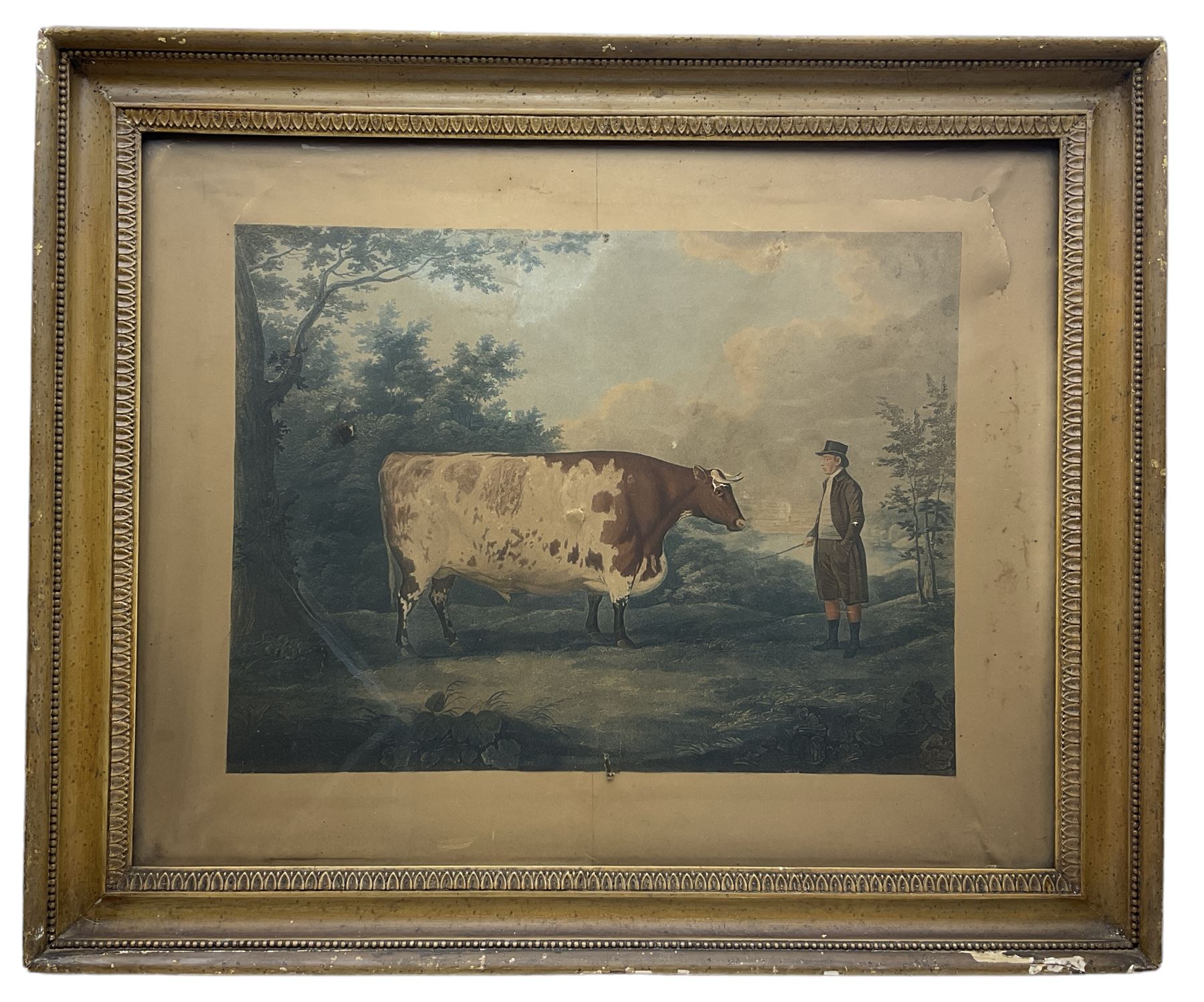 John Whessell (British c.1760-1840) after John Boultbee (British 1753-1812): 'The Durham Ox' - Image 2 of 2