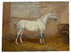 William Henderson of Whitby (British 1844-1904): 'Twilight' - Portrait of a Dapple Grey Hunter Horse