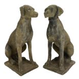 Pair composite Pointer hunting dog statues