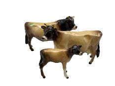 Beswick family group of Jersey Cows comprising 'CH Dunsley Cow Boy'