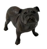 Richard Cooper & Co. bronze model of a Bulldog with original box