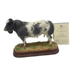 Border Fine Arts Limited Edition British Blue Bull by Kirsty Armstrong No. 70/500 boxed and with cer