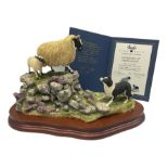 Border Fine Arts Limited Edition group of sheep and sheep dog 'Holding Her Ground' by Ray Ayres No