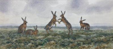 Brian Rawling (British 1931-): Fighting Hares