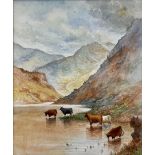 Harry Davis (British 1885-1970): Highland Cattle Watering