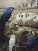 After Henry Stacy Marks (British 1829-898): 'Parrots & Parakeets - A Select Committee'