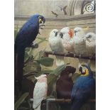 After Henry Stacy Marks (British 1829-898): 'Parrots & Parakeets - A Select Committee'