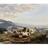 Daniel Van der Putten (Dutch 1949-): 'Sheep and Lambs on Broadway Hill - Cotswolds'