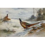 James Stinton (British 1870-1961): Pheasants in a Winter Landscape