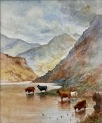 Harry Davis (British 1885-1970): Highland Cattle Watering