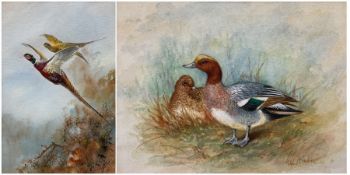 James Stinton (British 1870-1961): Male and Female Duck