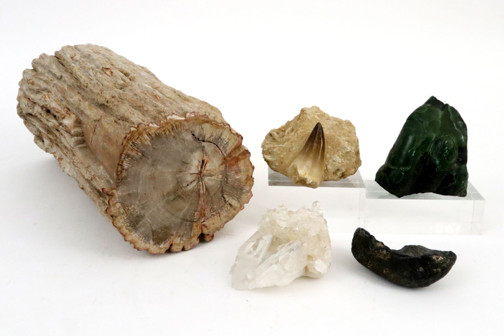 lot with two stones (quartz crystal and malachite), two fossils (whale inner ear & molosaur tooth) & - Bild 3 aus 3